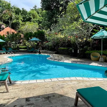 Dw Jungle Resort - Candidasa