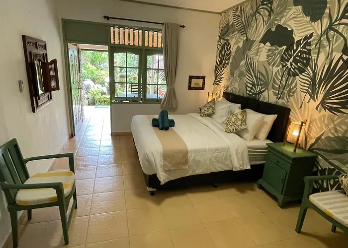 Dw Jungle - 4*
