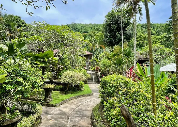 Dw Jungle - Resort